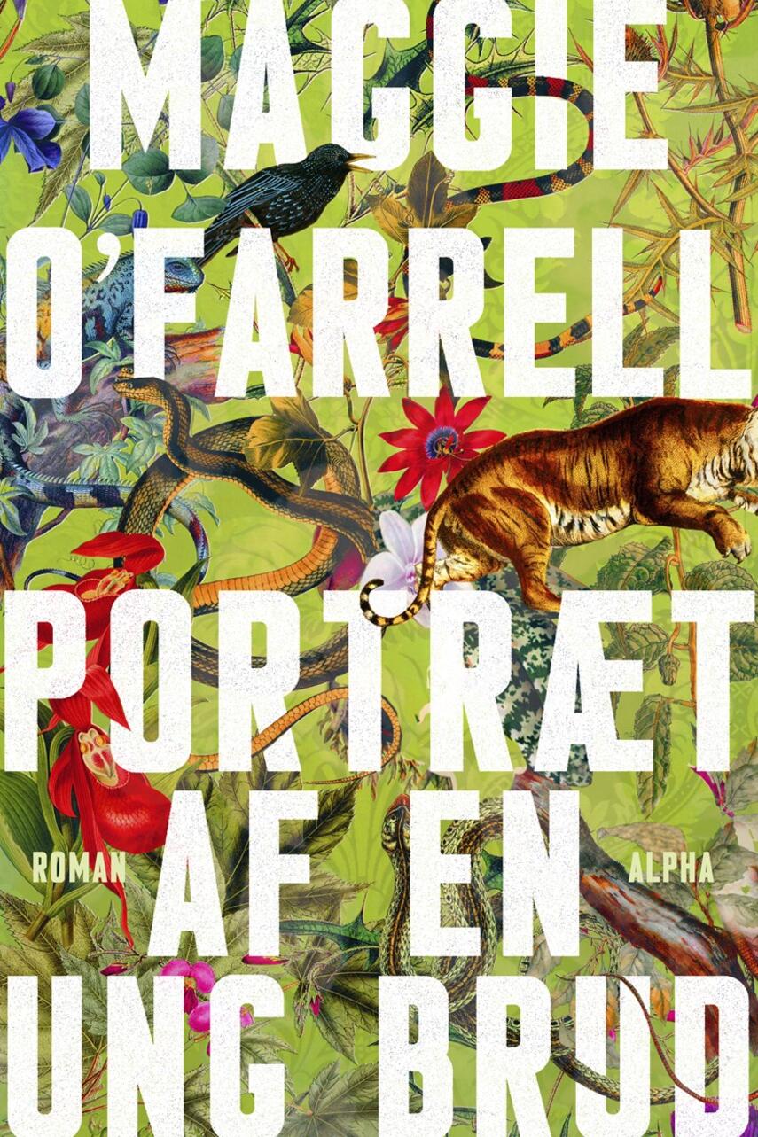Maggie O'Farrell: Portræt af en ung brud : roman
