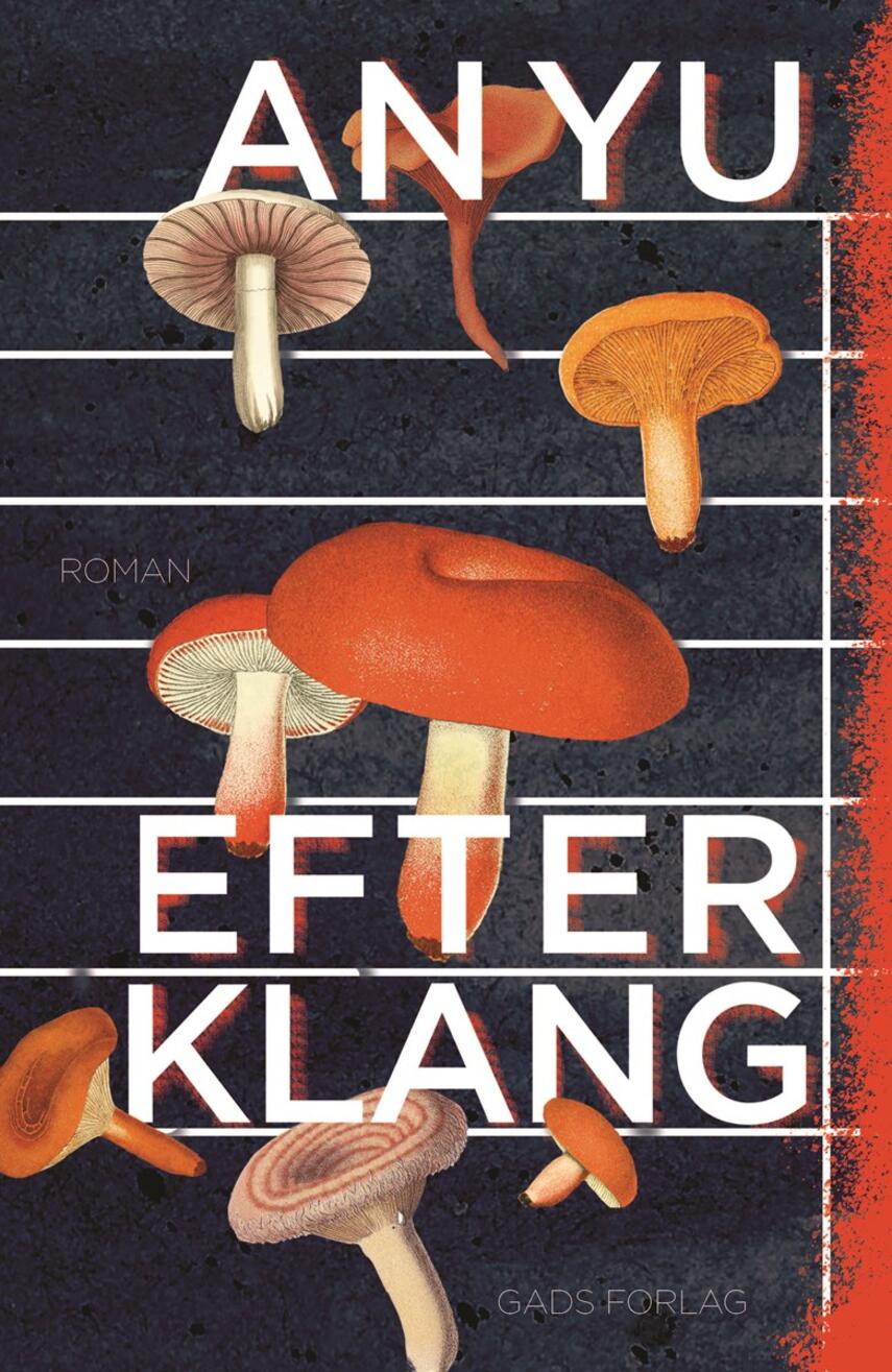 An Yu: Efterklang : roman