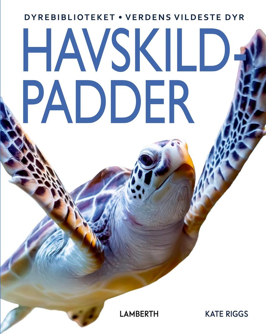 Kate Riggs: Havskildpadder