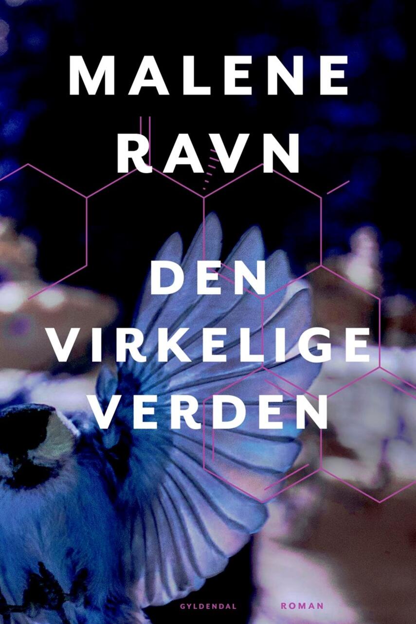 Malene Ravn (f. 1971): Den virkelige verden : roman