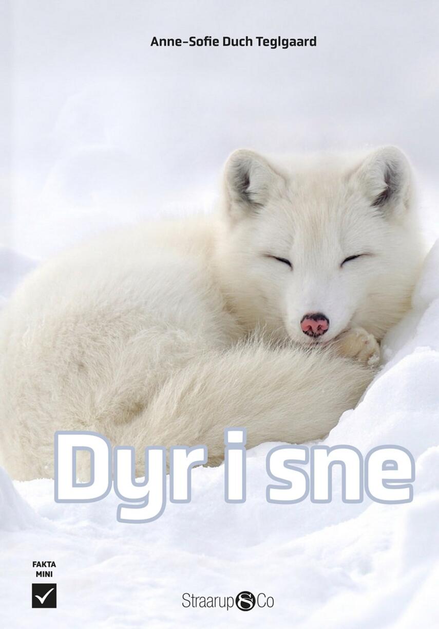 Anne-Sofie Duch Teglgaard: Dyr i sne