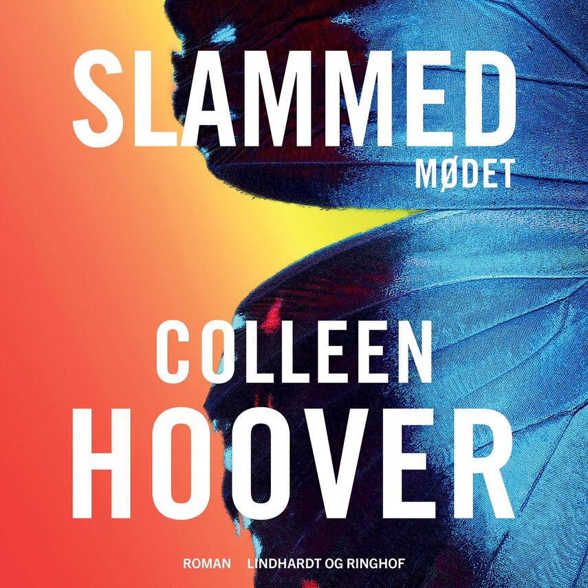 Colleen Hoover: Mødet - slammed