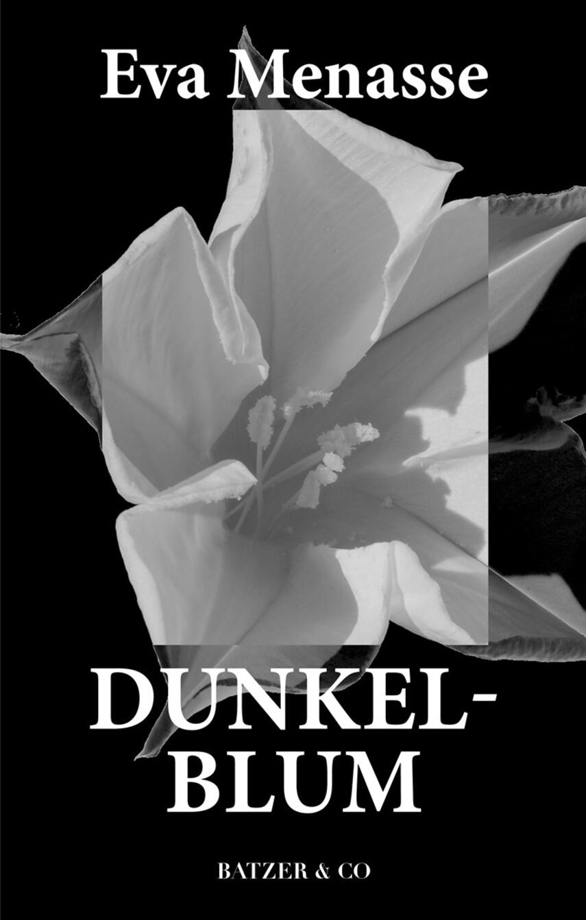Eva Menasse (f. 1970): Dunkelblum