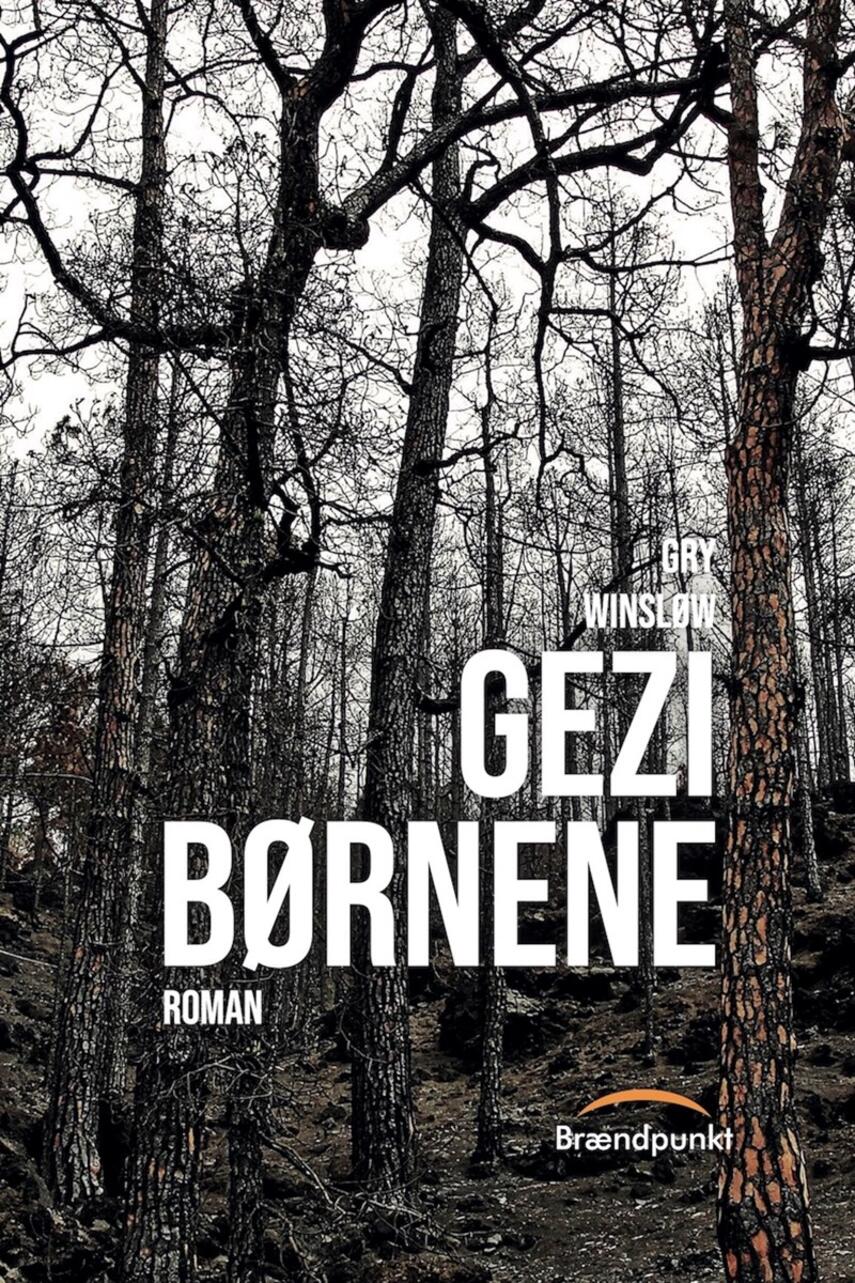 Gry Winsløw (f. 1960): Gezi børnene : roman