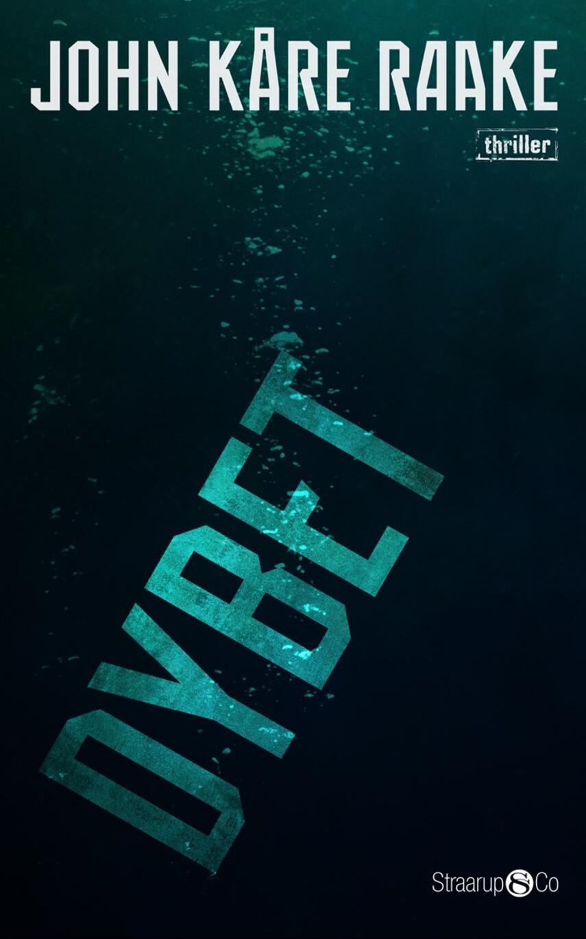 John Kåre Raake: Dybet : thriller