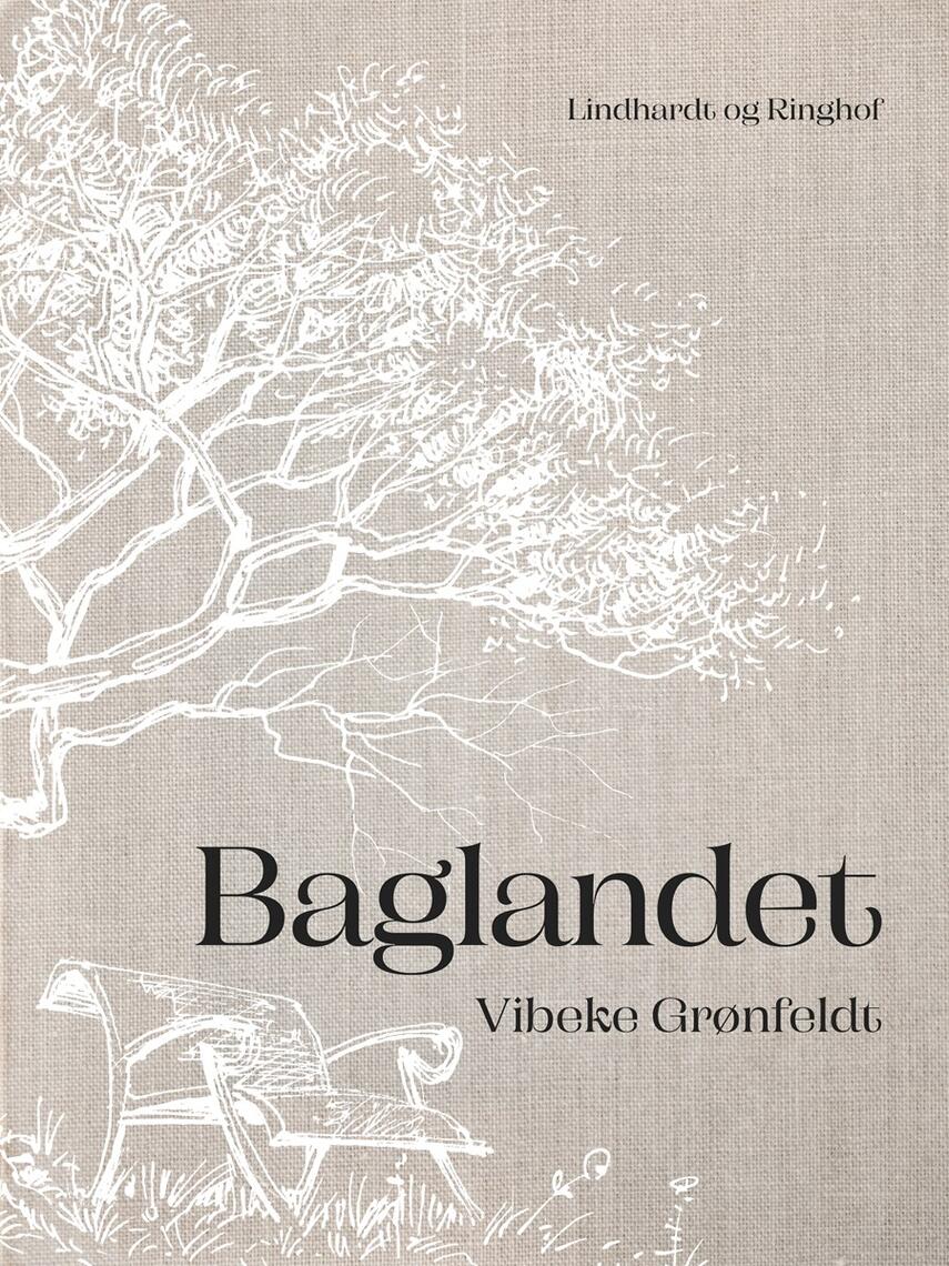 Vibeke Grønfeldt: Baglandet : noveller