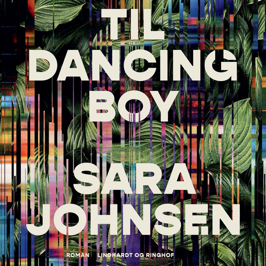 Sara Johnsen (f. 1970): Til Dancing Boy