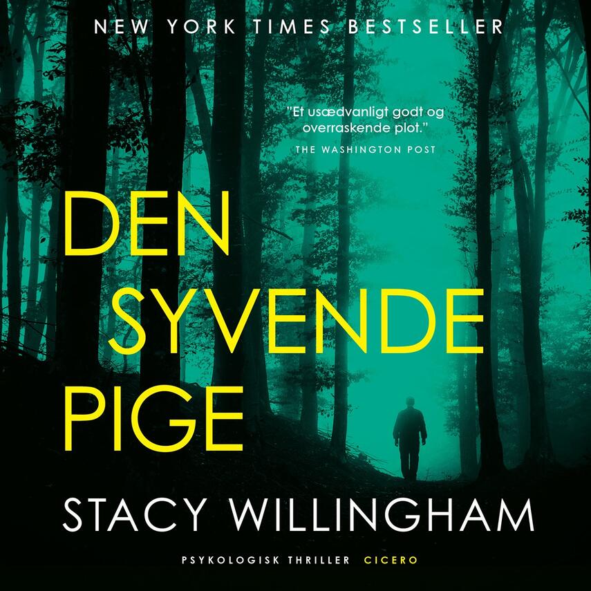 Stacy Willingham: Den syvende pige