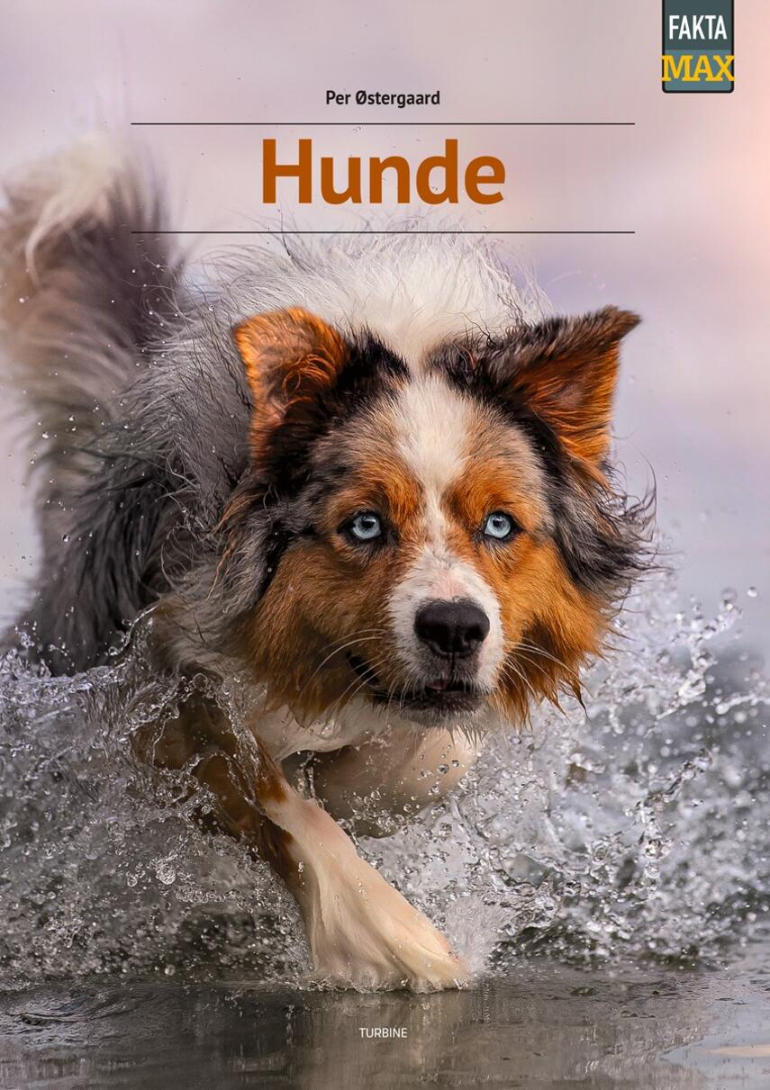 Per Østergaard (f. 1950): Hunde
