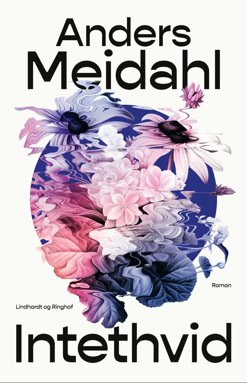 Anders Christian Meidahl: Intethvid : roman