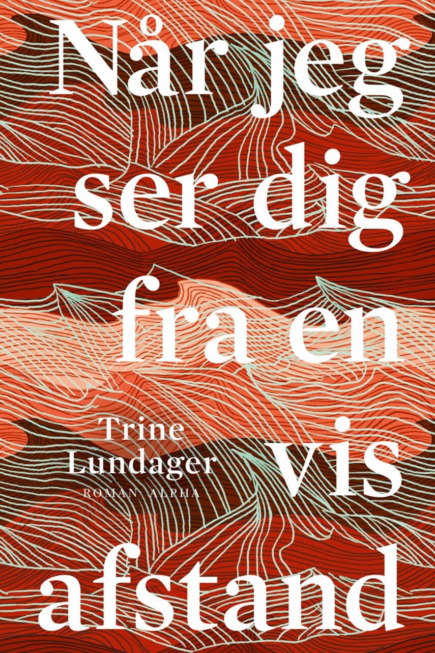 Trine Lundager: Når jeg ser dig fra en vis afstand : roman