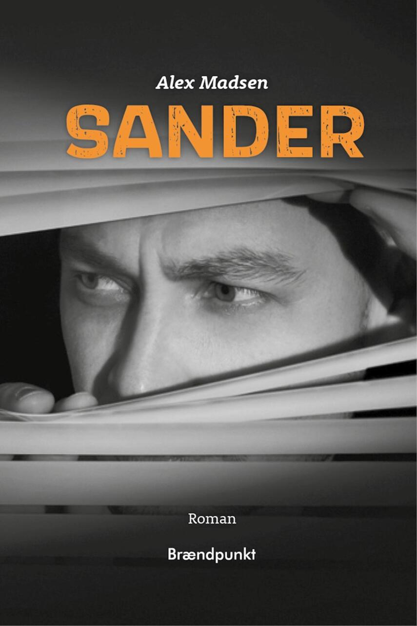 Alex Madsen (f. 1951-08-03): Sander : roman