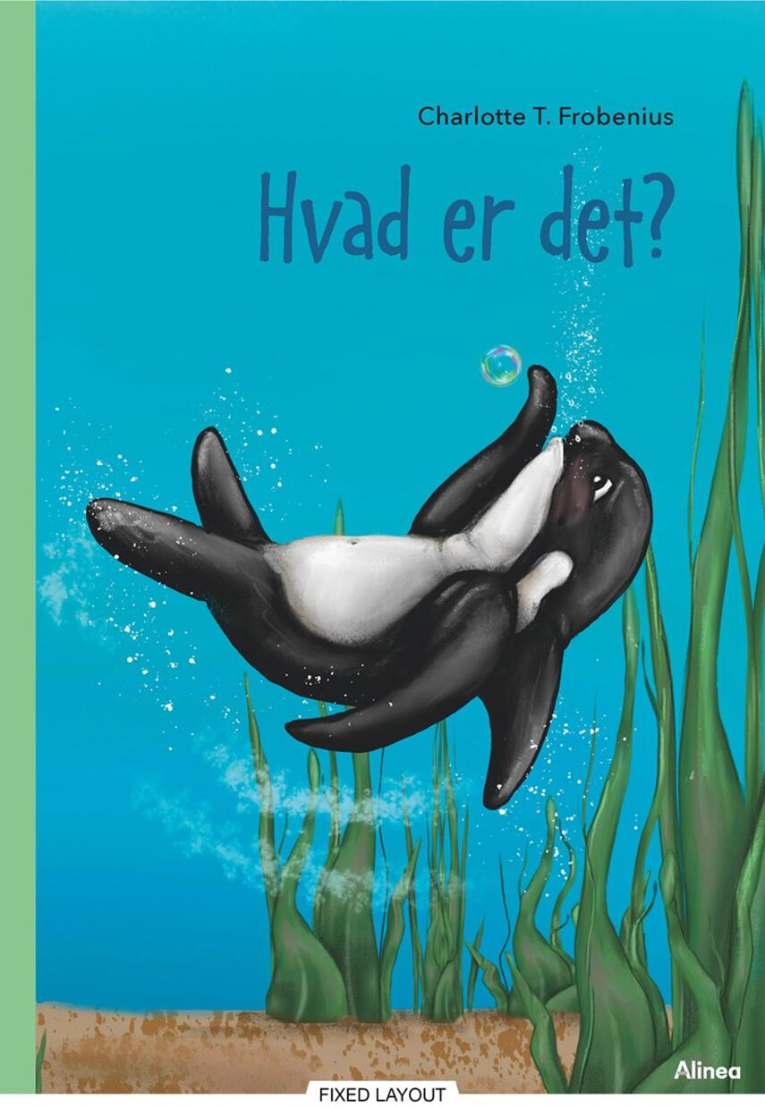 Charlotte T. Frobenius: Hvad er det?