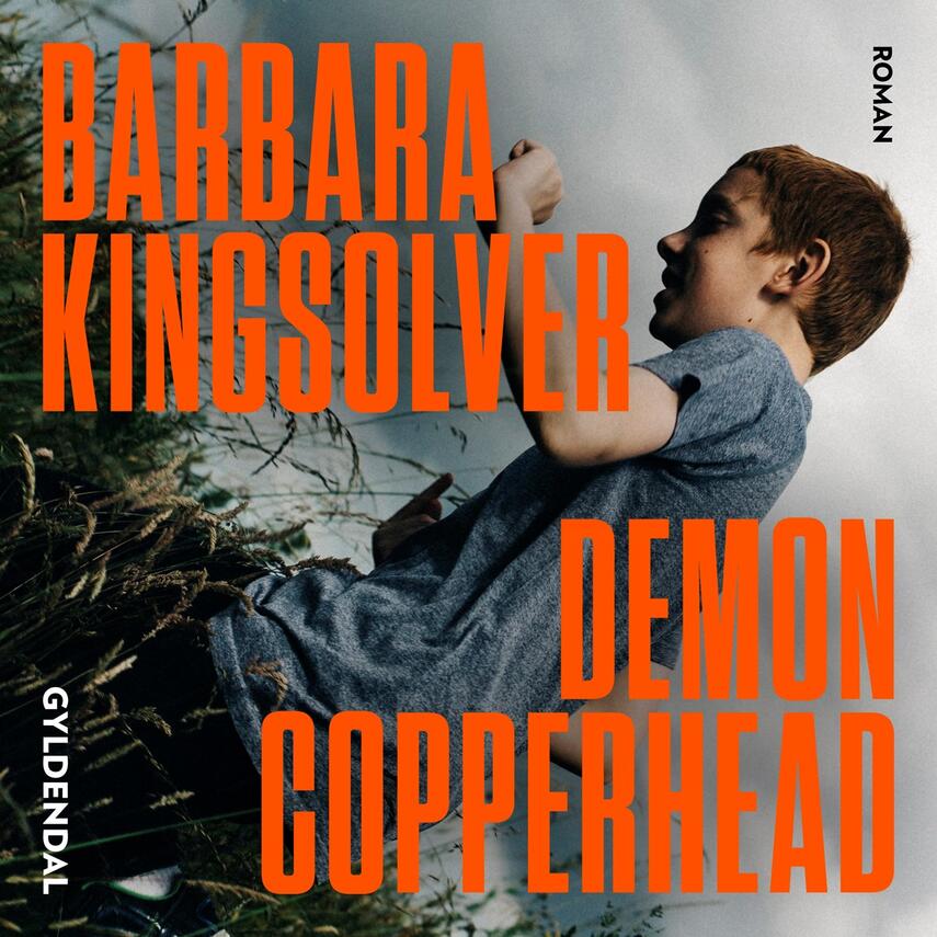 Barbara Kingsolver: Demon Copperhead
