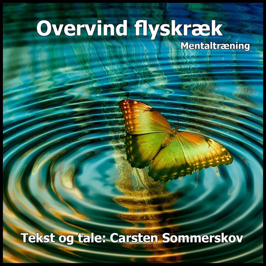 Carsten Sommerskov: Overvind flyskræk