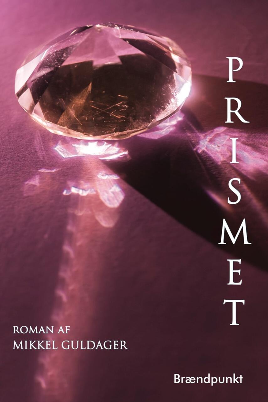 Mikkel Guldager (f. 1977): Prismet : roman