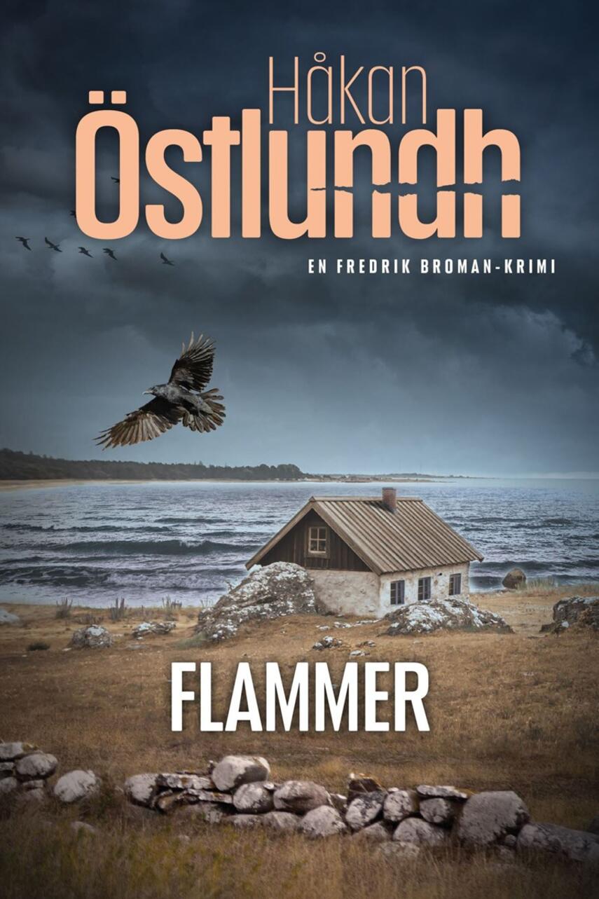 Håkan Östlundh: Flammer