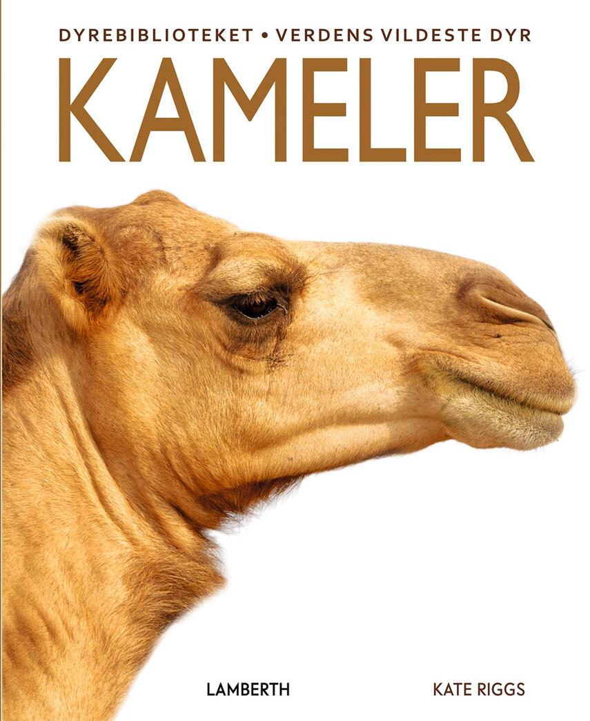 Kate Riggs: Kameler