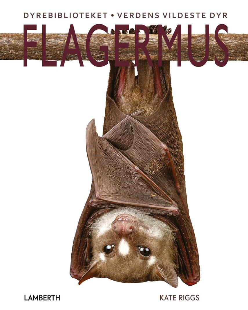 Kate Riggs: Flagermus