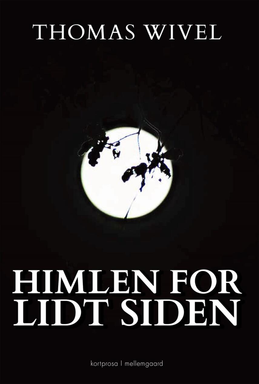 Thomas Wivel: Himlen for lidt siden
