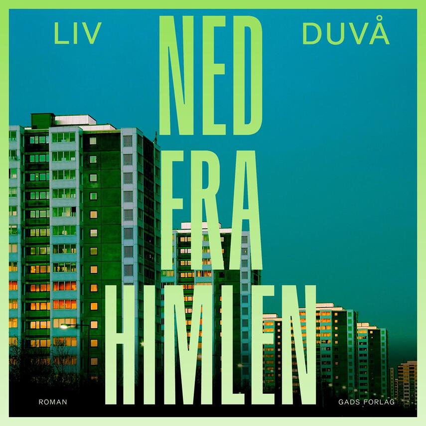 Liv Nimand Duvå (f. 1987): Ned fra himlen : roman