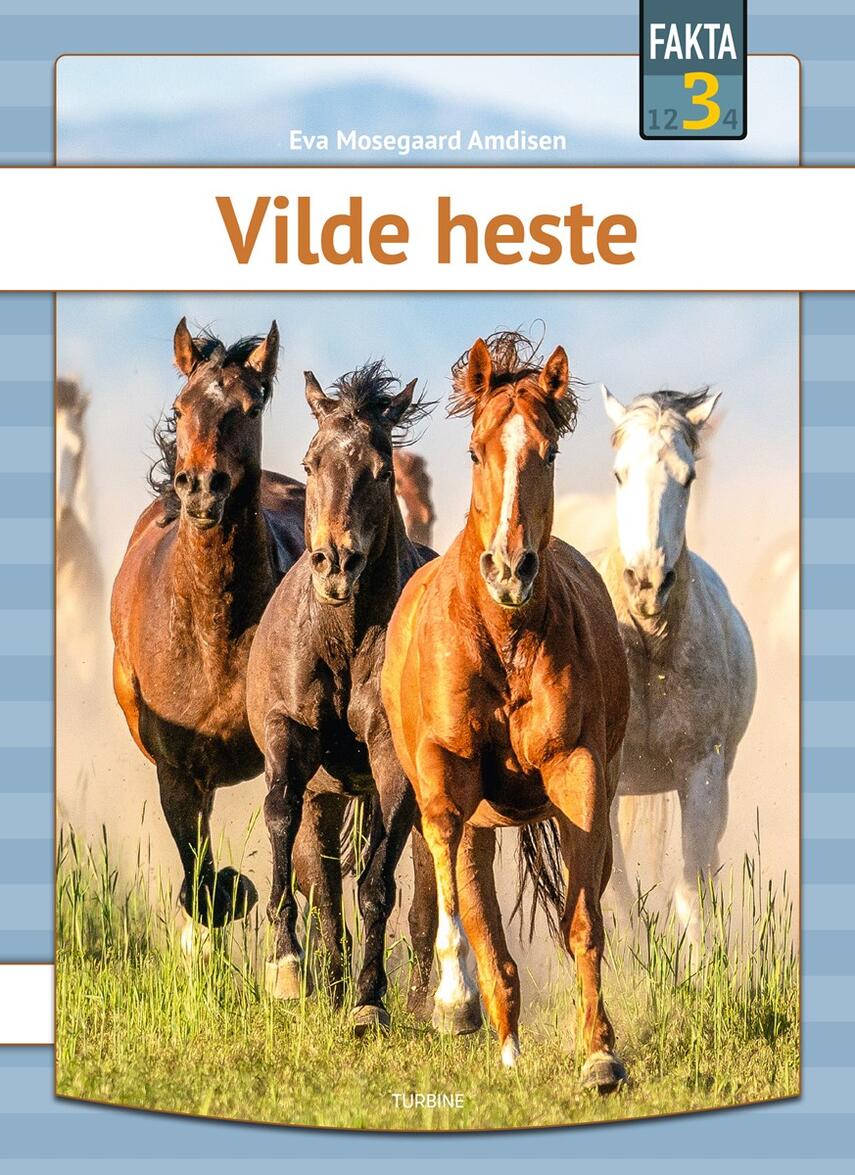 Eva Mosegaard Amdisen: Vilde heste
