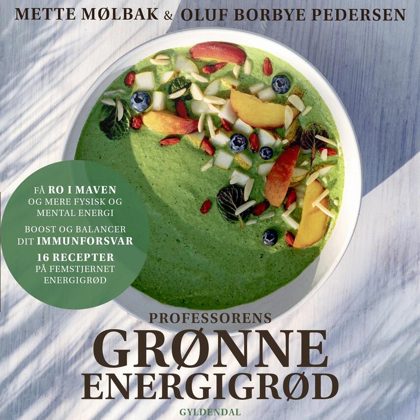 Mette Mølbak, Oluf Borbye Pedersen: Professorens grønne energigrød