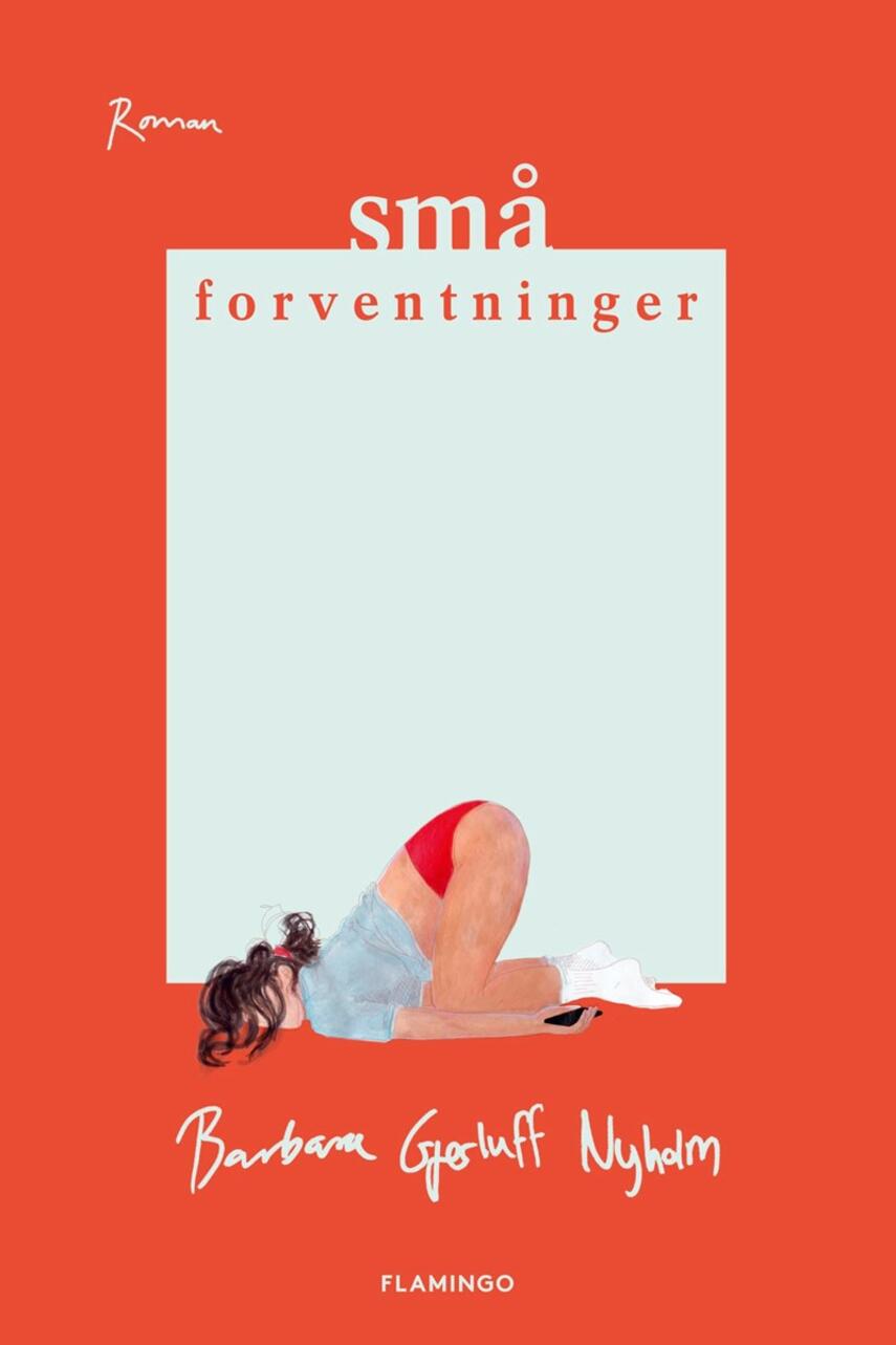 Barbara Gjerluff Nyholm: Små forventninger : roman