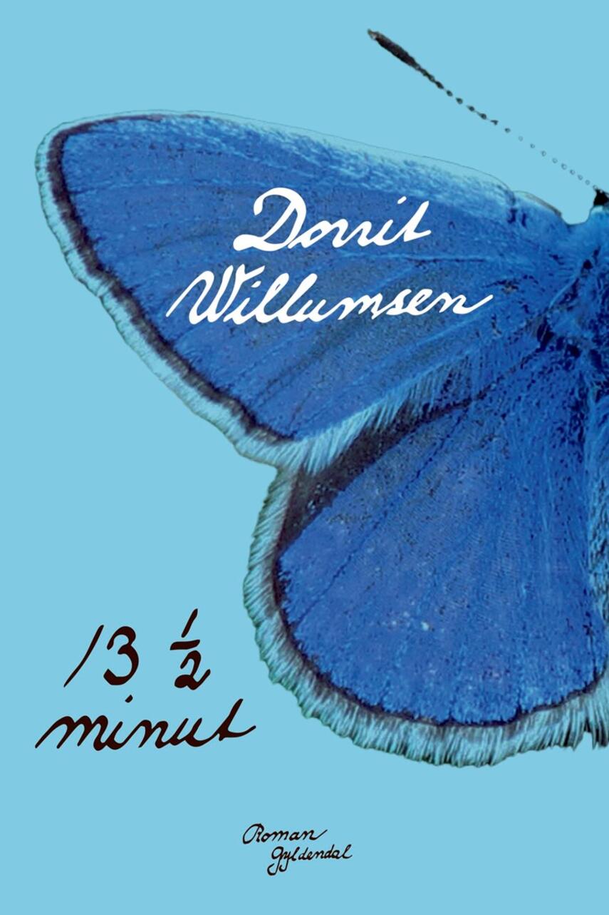 Dorrit Willumsen: 13 1/2  minut : roman