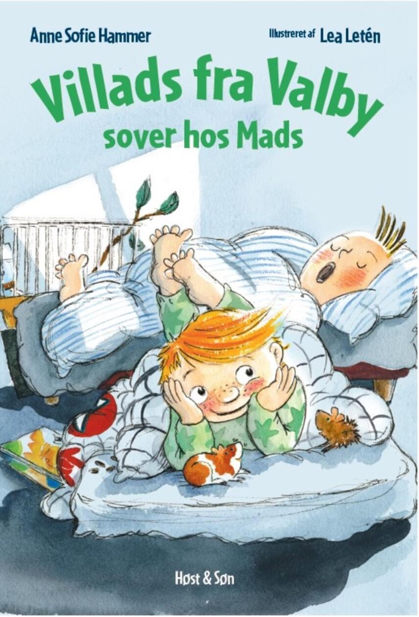 : Villads fra Valby sover hos Mads