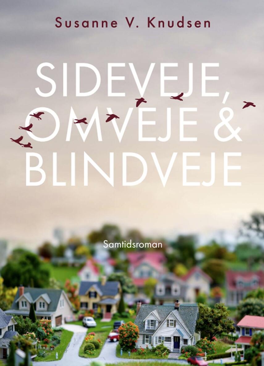 Susanne V. Knudsen (f. 1951): Sideveje, omveje & blindveje : samtidsroman