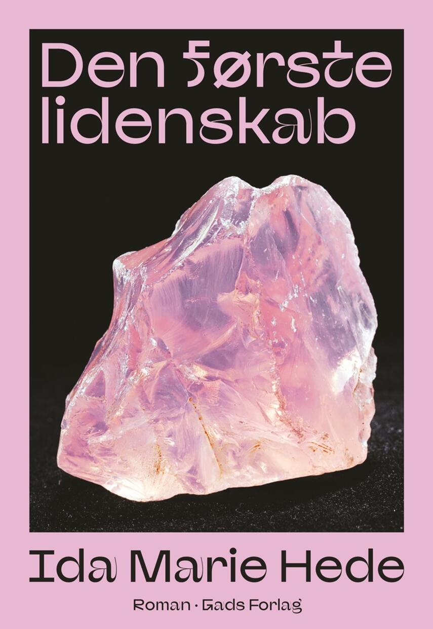 Ida Marie Hede: Den første lidenskab : roman