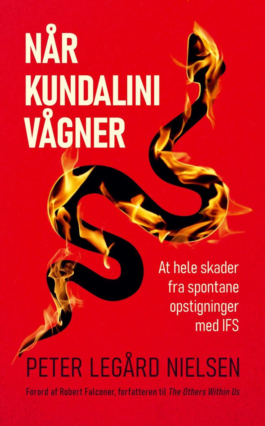 Peter Legård Nielsen: Når kundalini vågner : at hele skader fra spontane opstigninger med IFS