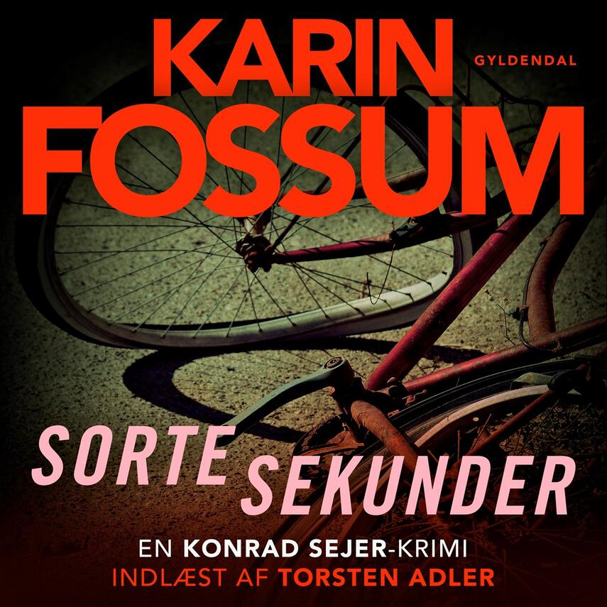 Karin Fossum: Sorte sekunder