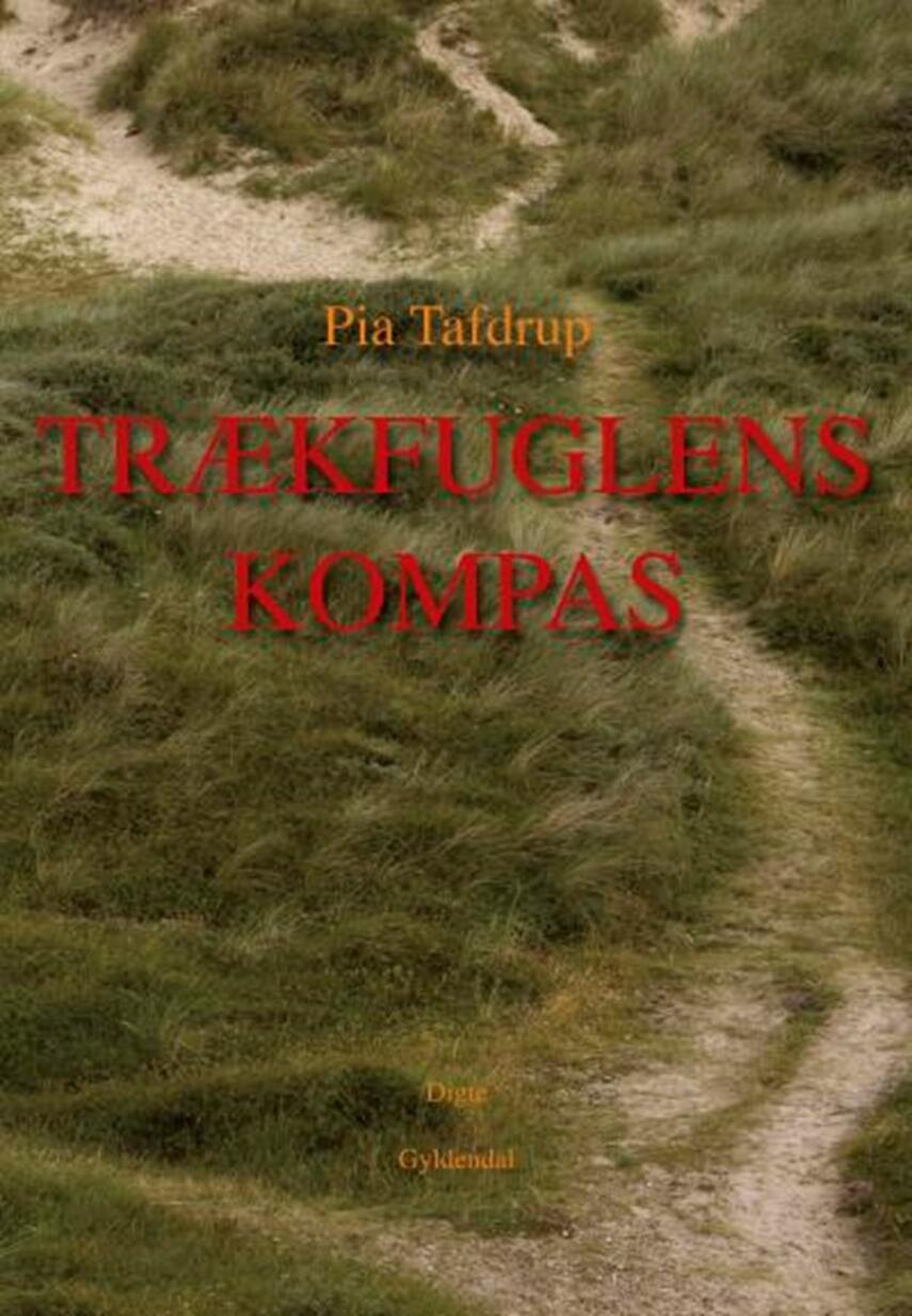 Pia Tafdrup: Trækfuglens kompas
