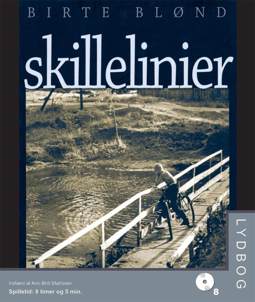 Birte Blønd: Skillelinier