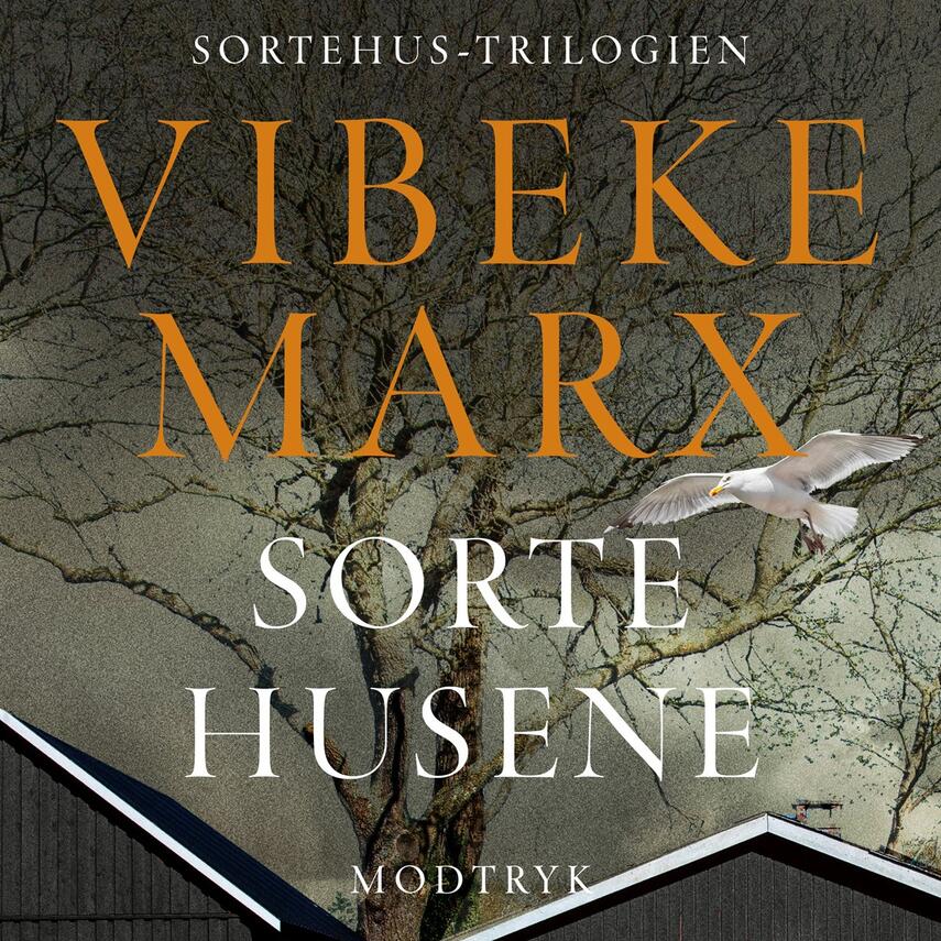 Vibeke Marx: Sortehusene