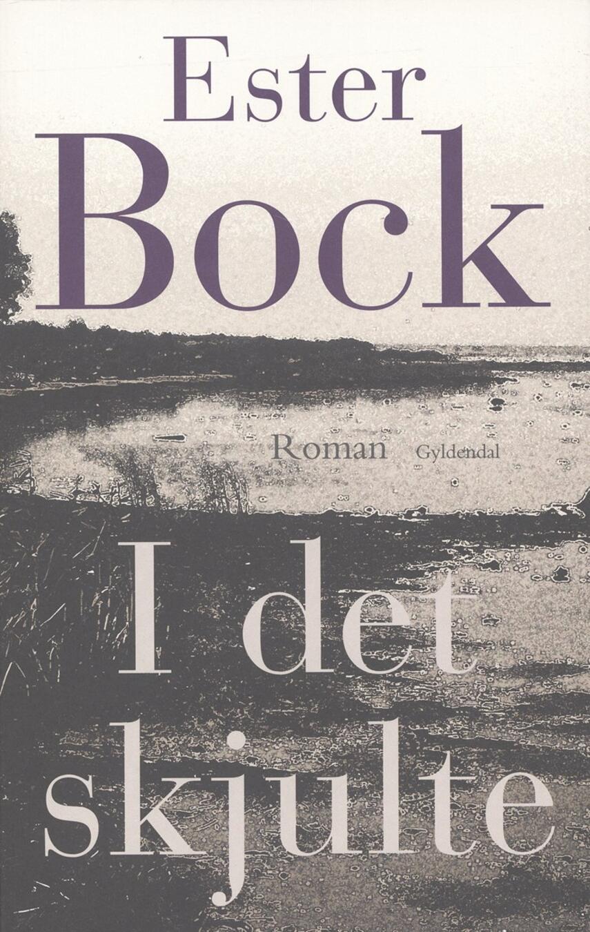 Ester Bock: I det skjulte : roman