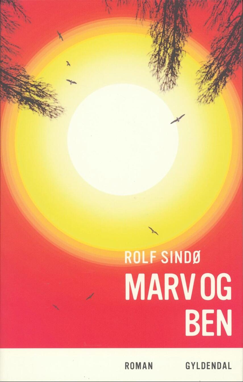 Rolf Sindø: Marv og ben : roman