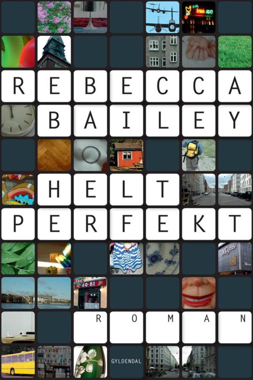 Rebecca Bailey: Helt perfekt : roman