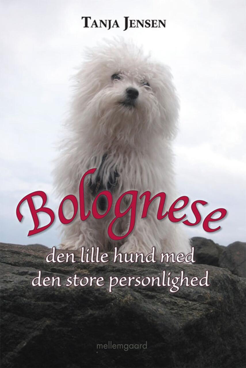 Bolognese : den lille hund med den store personlighed | eReolen