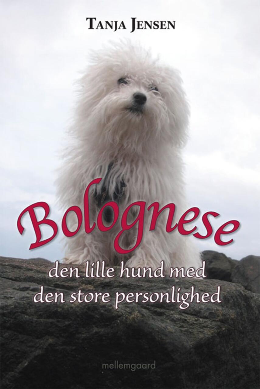 Tanja Jensen: Bolognese : den lille hund med den store personlighed