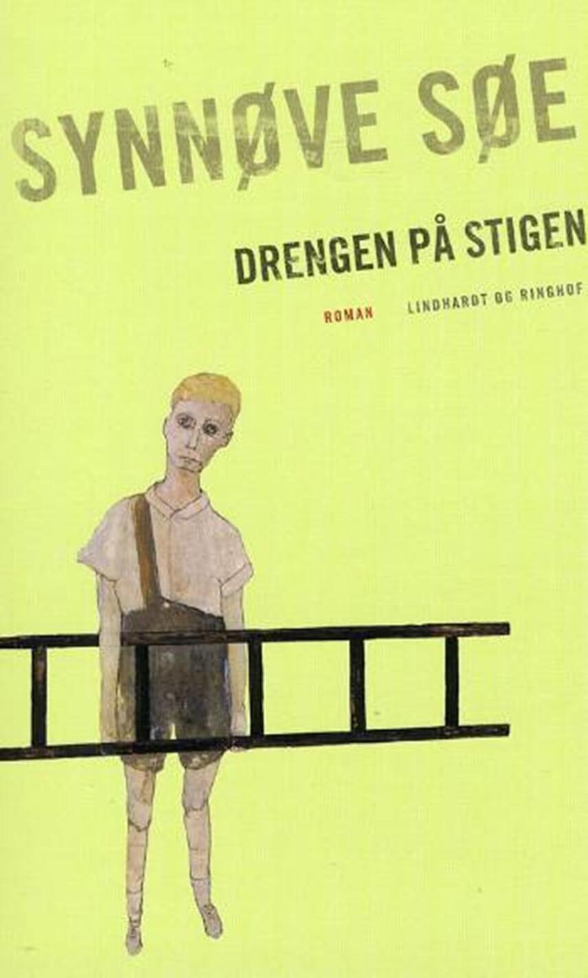 Synnøve Søe: Drengen på stigen : roman