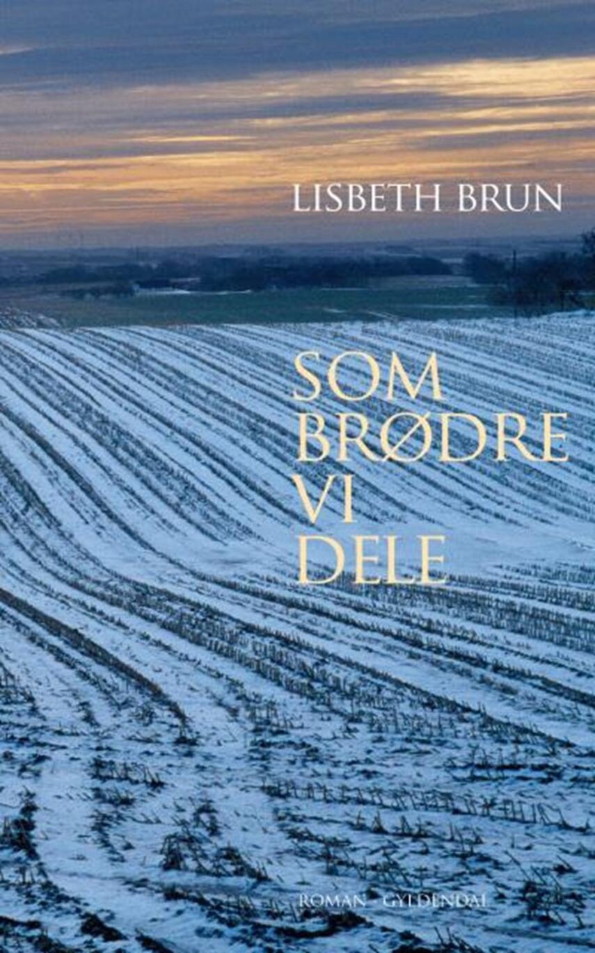 Lisbeth Brun: Som brødre vi dele : roman