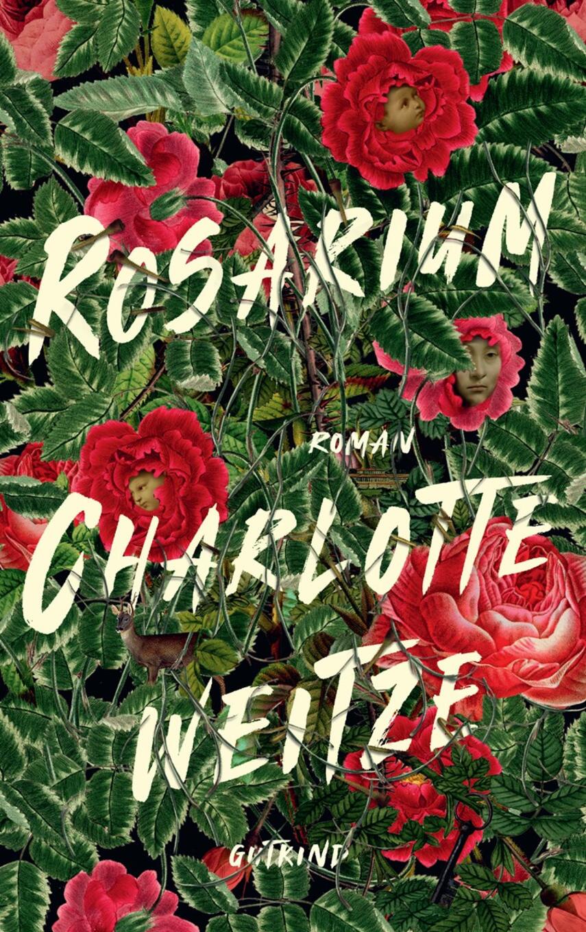 Charlotte Weitze: Rosarium : roman