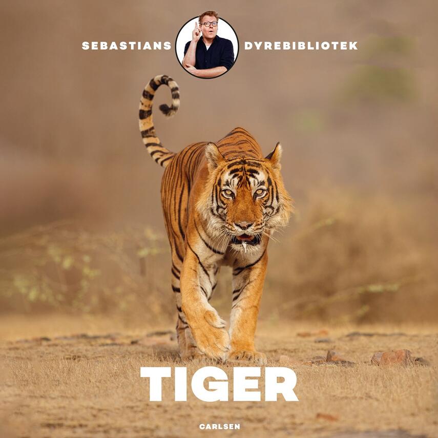 Sebastian Klein: Tiger