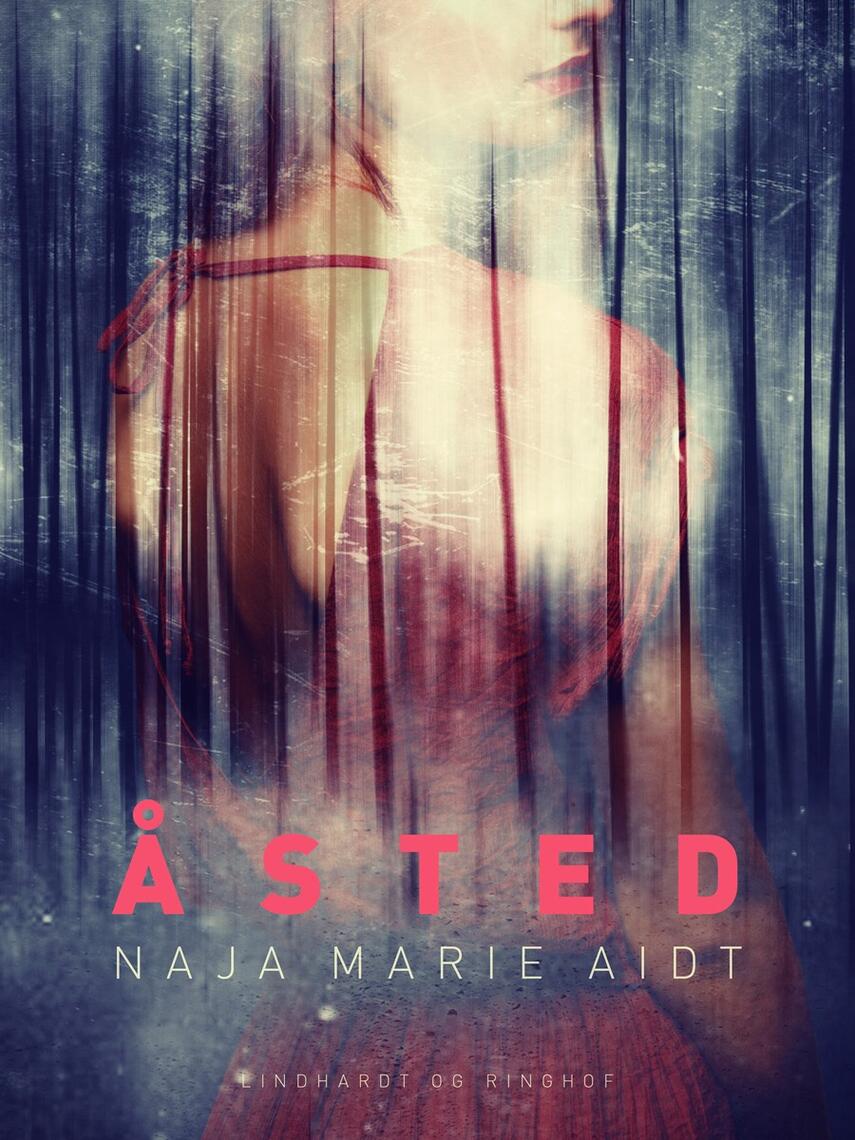 Naja Marie Aidt: Åsted