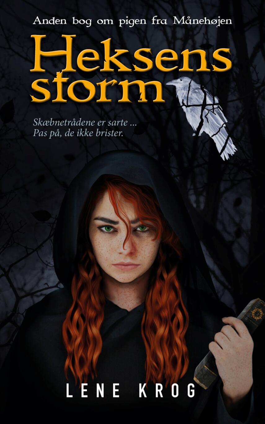 Lene Krog (f. 1976): Heksens storm