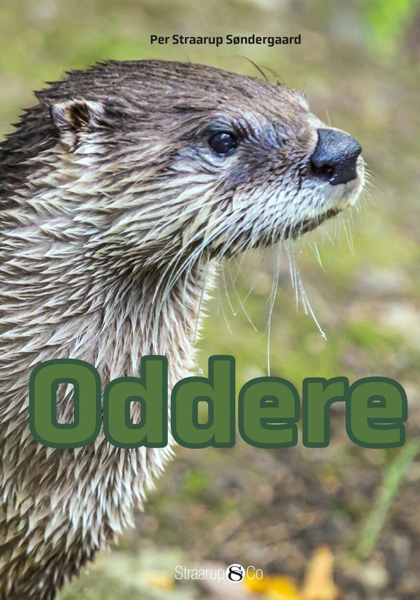Per Straarup Søndergaard: Oddere