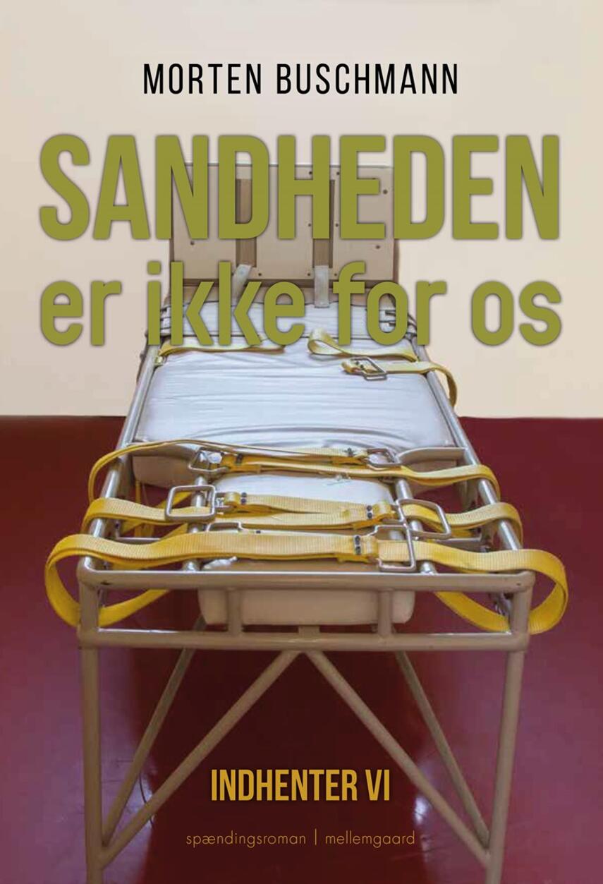Morten Buschmann: Sandheden er ikke for os : spændingsroman